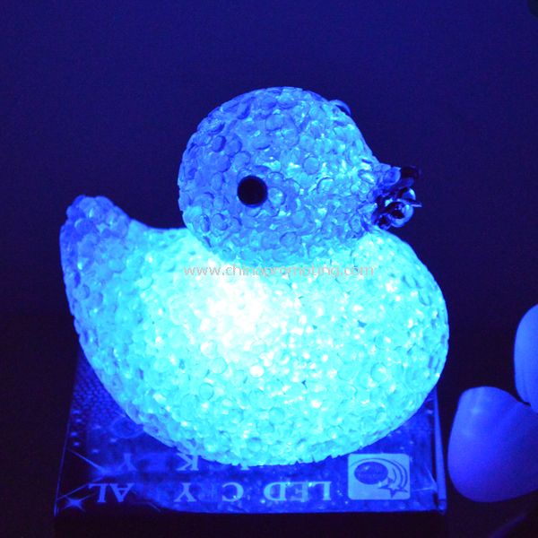 LED EVA DUCK