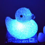 LED EVA DUCK images