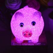 LED EVA PIG images