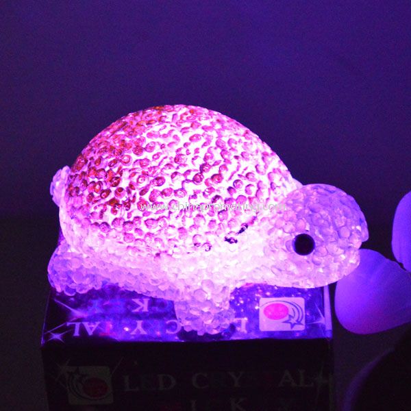 LED EVA TORTOISE