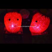 LED EVA fraises images