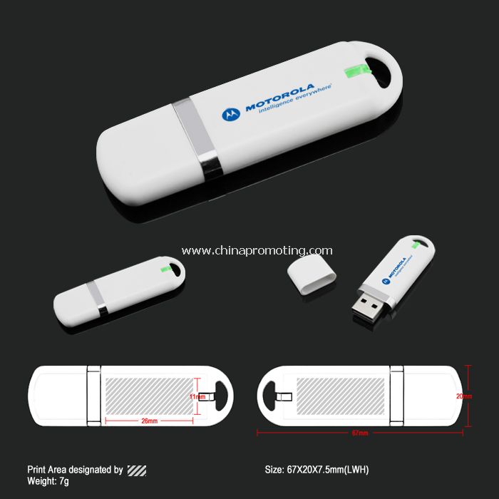 Logo Printed Plastic USB Drive