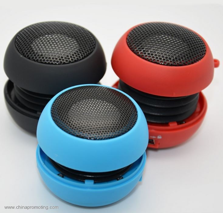 Mini Speaker