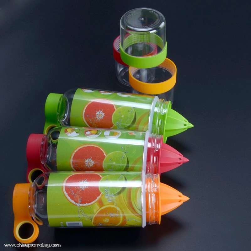 bottle with fruit infuser