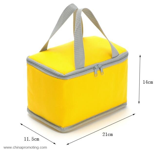 picnic lunch cooler bag